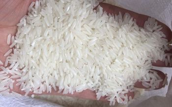 ST24 Fragrant Rice - Food&Good - Vietnam