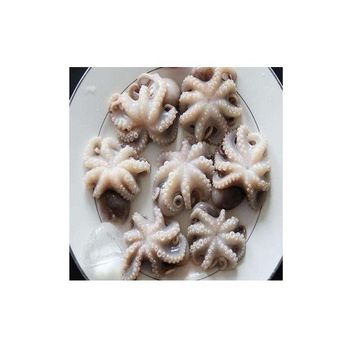 Manufacturers delicious snack baby octopus frozen seasoned octopus - Exigentelaxia Unipessoal Lda - Portugal