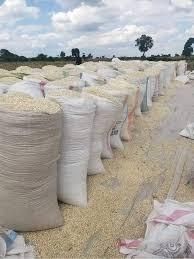 maize corn - TWT HEIGHTS LIMITED - Tanzania