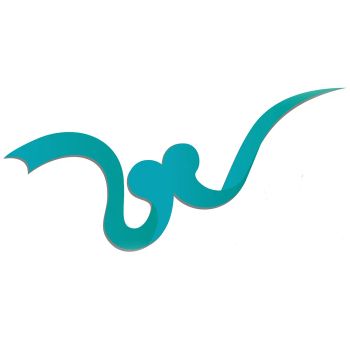 Product - Shenzhen Wild Art Decoration Co.,Ltd. - China