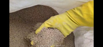 Natural Sesame Seeds – 99.95% Purity | Bulk Export Quality – product photo, Mixed Sesame Seeds products found from trusted suppliers, wholesalers, manufacturers & exporters Listing