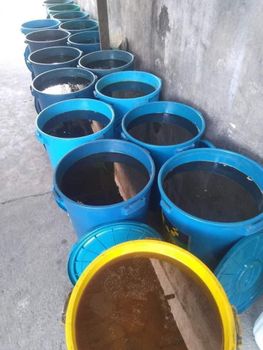 High-Quality Used Cooking oil for Biodiesel production Grade A Type used Form used Impurities ≤ 0.5% Flavor cooked flavour - THE GREEN INTERNATIONAL LIMITED - Tanzania