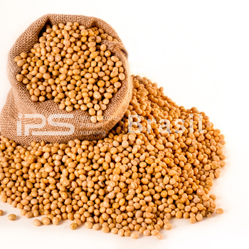 Soybeans – Bulk Supply – Various Origins Origin South America, Worldwide Product Type Cereal, Cereals & Cereal Products, Grain, Legumes, Other - IPS Brasil - Australia
