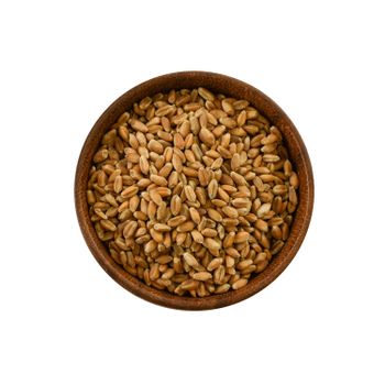 Premium Quality Durum Wheat Rich In Protein And Fiber Fresh And Natural Wheat Perfect For Wholesale Buyers Worldwide - AGRO AFRIQUE COMPANY LIMITED - Tanzania