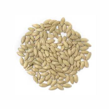 Original Flavour Cucumber Seeds Made for wholesale - Mundus Exports Pty Ltd - South Africa