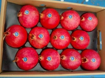 Pomegranate – product photo, Fresh Orange Fruit products found from trusted suppliers, wholesalers, manufacturers & exporters Listing