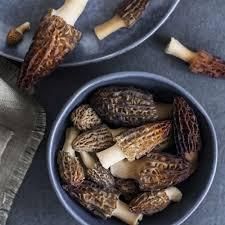 Morel Mushrooms Natural Wild Organic Mushrooms Healthy Food - Smart Agri GmbH - Germany