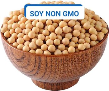 Non Gmo Soybeans