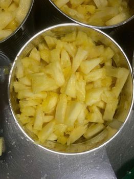 Canned pineapple chunks - PLD COM., VIET NAM - Vietnam