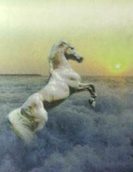 Product - Smile Saddlery Co., Ltd. - China