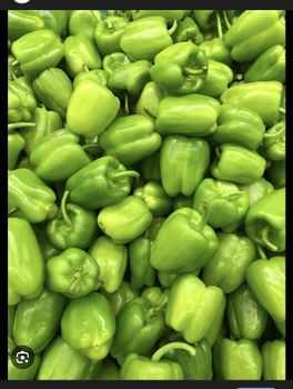 Green capsicum Color Green Origin India Texture - Grace foreign trade - India