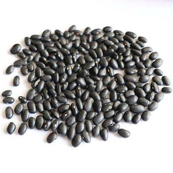 Bulk Price Dried Bean Gallo Pinto Black Kidney Beans Casado Black Beans - Hebei Nihewan Agricultural Development Co., Ltd. - China