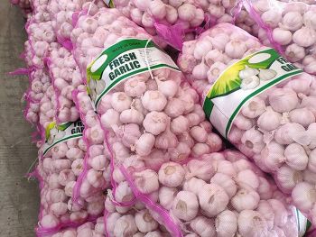 High Quality 2026 Fresh Garlic Chinese Origin Normal White Garlic Bulk Export to Worldwide - Banyen Inter Corp - Thailand