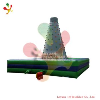 Ce Approved Outdoor Inflatable Climbing Walls & Inflatable Sport Wall - Leyuan Inflatables Co., Ltd. - China