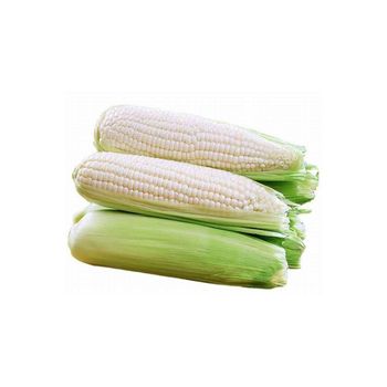 Natural White Corn Farm Fresh White Corn Processed Carefully To Ensure Maximum Purity And Quality - THE GREEN INTERNATIONAL LIMITED - Tanzania