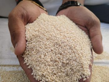 Sesame Seeds – product photo, Raw Sesame Seeds products found from trusted suppliers, wholesalers, manufacturers & exporters Listing