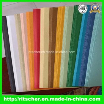 Binding Cover Embossed Paper Paper File Folder Suspension File Portfolio - Ritscher Paper Products Limited - China
