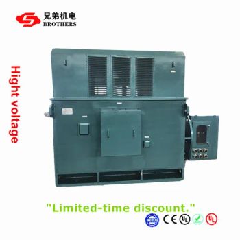Ykk Yrkk High Voltage Ring Type Induction AC Electric Motor 6kv 10kv - Fuding Brothers Power Co., Ltd. - China