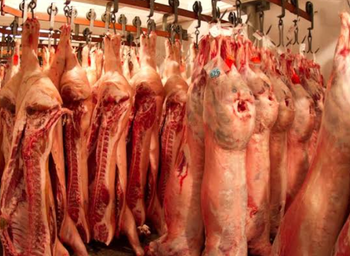 Frozen PORK from Mauro Frozen PORK - Mauro - Spain