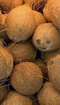 coconut husked/semihusked – product photo, De-husked Coconut products found from trusted suppliers, wholesalers, manufacturers & exporters Listing