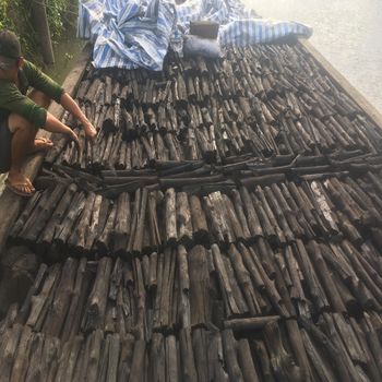 Grill BBQ charcoal_mangrove charcoal for from Viet Nam - VIET GLOBAL TRUST COMPANY LIMITED - Vietnam