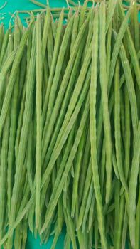 Drumstick - GOLDENLEAF NATURALS - India