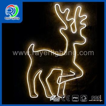 Christmas Decoration LED Neon Rope Lights Window Decoration LED Motif Light - Lankao Rayer Lighting Product Co., Ltd. - China