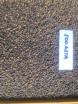 Tiêu đen 500G/L; 550G/L; 570G/; from Green Organic Agriculture Cooperative Tiêu đen 500G/L; 550G/L; 570G/; – product photo, Dehydrated Black Pepper products found from trusted suppliers, wholesalers, manufacturers & exporters Listing