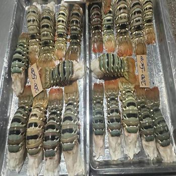 Whole Frozen Raw Lobster and Tails Premium Grade Of Product Quality Export Manufacture Market best quality - CPW TRADE LTD - United Kingdom