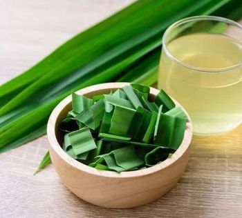 Pandan leaves - Ambegoda rampe - Sri Lanka