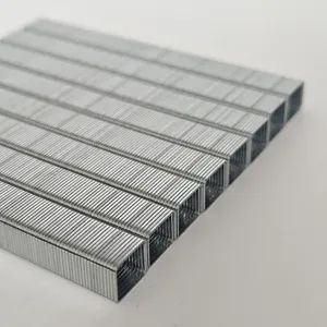 21ga Galvanized Staples for Furniture High Quality 8010 Staples - Foshan Intend Trading Co., Ltd - China