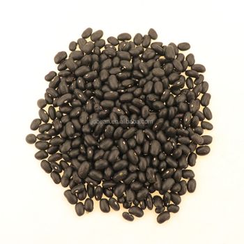 Wholesale Dried Organic 500 550 Small Black Beans Black Kidney Beans from Hebei Nihewan Agricultural Development Co., Ltd. Wholesale Dried Organic 500 550 Small Black Beans Black Kidney Beans - Hebei Nihewan Agricultural Development Co., Ltd. - China