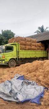Cocopiber, cocopeat, briket, coconut Shell corchoal, coconibs. from Sultra Coco express Cocopiber, cocopeat, briket, coconut Shell corchoal, coconibs. - Sultra Coco express - Indonesia