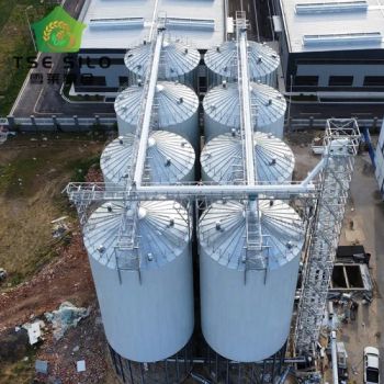 Professional Manufacturer Drag Chain Conveyor Maize Wheat Paddy Corn Grain Elevator Galvanized Steel Silo Prices - Shandong Shelley Grain Steel Silo Co., Ltd. - China