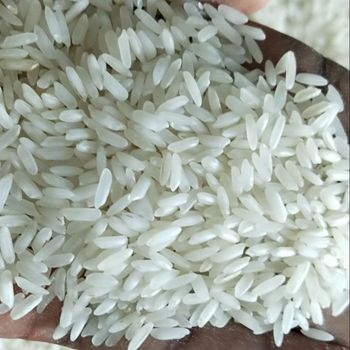 Bulk Supply Wholesale Price Top Quality Long grain white rice 5% broken Available For Sale from AGRONOVA Bulk Supply Wholesale Price Top Quality Long grain white rice 5% broken Available For Sale - AGRONOVA - United States