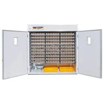 Holding 10000 Fully Automatic Digital Quail Egg Incubator - KANGAS INDUSTRIAL CO., LTD. - China