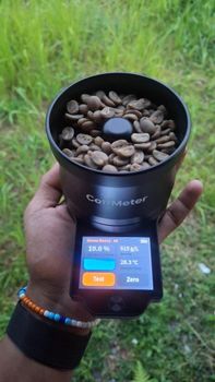 Arabica Grade 1 Mt. Gombong from Chaproek Coffee Company Arabica Grade 1 Mt. Gombong - Chaproek Coffee Company - Indonesia
