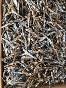 Premium Dried Anchovy Fish (Sprats/Netheli) – High Quality Export - RT Anchovy - Iran
