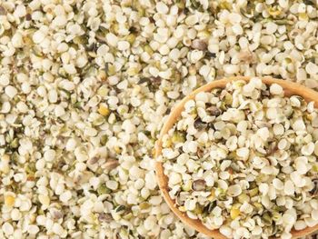 Hulled hemp seeds - CAVAS INTERNATIONAL B.V. - Netherlands