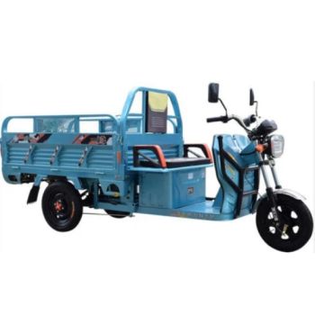 Electric Tricycle Cargo E Tricycle Electric Cargo Motorcycle - Wuxi Hongfan Group - China