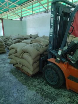 green coffe beans 100% arabica Hs090111 ready to shipping from asoprocedaca green coffe beans 100% arabica Hs090111 ready to shipping - asoprocedaca - Venezuela, Bolivarian Republic of