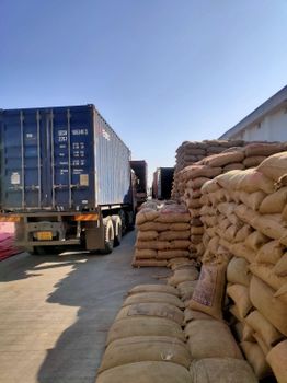 Cashew Nuts with All Type Are Available (W180 W240 W320 W450) for Wholesale From Vietnam