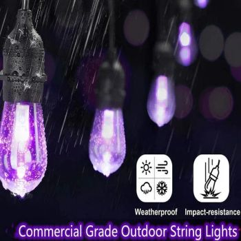 Transparent RGB Outdoor Street LED Bulb String Light Camping Lighting - Dongguan Rainmin Intelligent Technology Limited - China