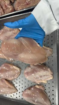 frozen chichken  boneless breaest - LUKOSI GLOBAL TRADERS LTD - Netherlands
