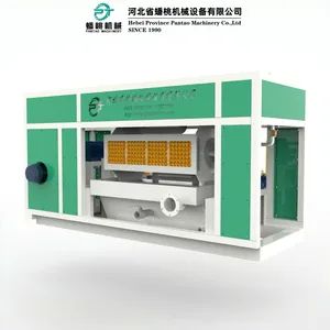 Pulp Egg Tray Making Machine - Hebei Province Pantao Machinery Co., Ltd. - China