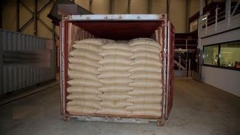 Green Coffee beans - AfriSum Co. Ltd - Tanzania