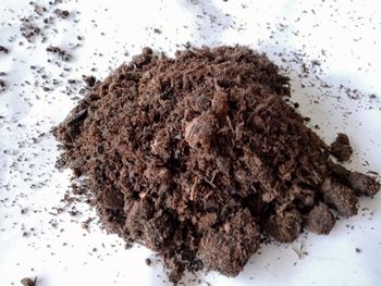 Best Choice High Quality Bio Organic Manure Fertilizer Solid Granulated from Koto Global Trade SPRL Best Choice High Quality Bio Organic Manure Fertilizer Solid Granulated - Koto Global Trade SPRL - Belgium