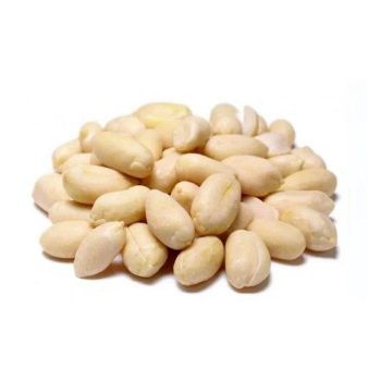 Buyers for Wholesale Jumbo Raw Peanuts High Quality Natural Bold Blanched Peanuts - TRADECENTRIC LLC - United States