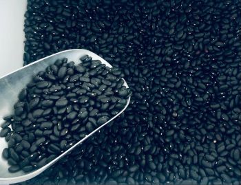 Black Kidney Beans – product photo, Black Matpe Beans products found from trusted suppliers, wholesalers, manufacturers & exporters Listing
