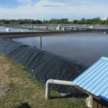 0 75mm 1mm 1 5mm Waterproof High Density Polyethylene HDPE Geomembrane Price Dam Liner HDPE Liner Geomembrane for Pond Liners - Anhui Zhonglu Engineering Materials Co., Ltd. - China